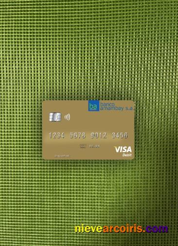 Paraguay Banco Amambay visa debit card photolook